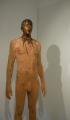 Aron Demetz, 'S.t.'